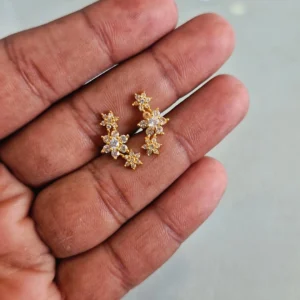 Gold-Plated Studds 2
